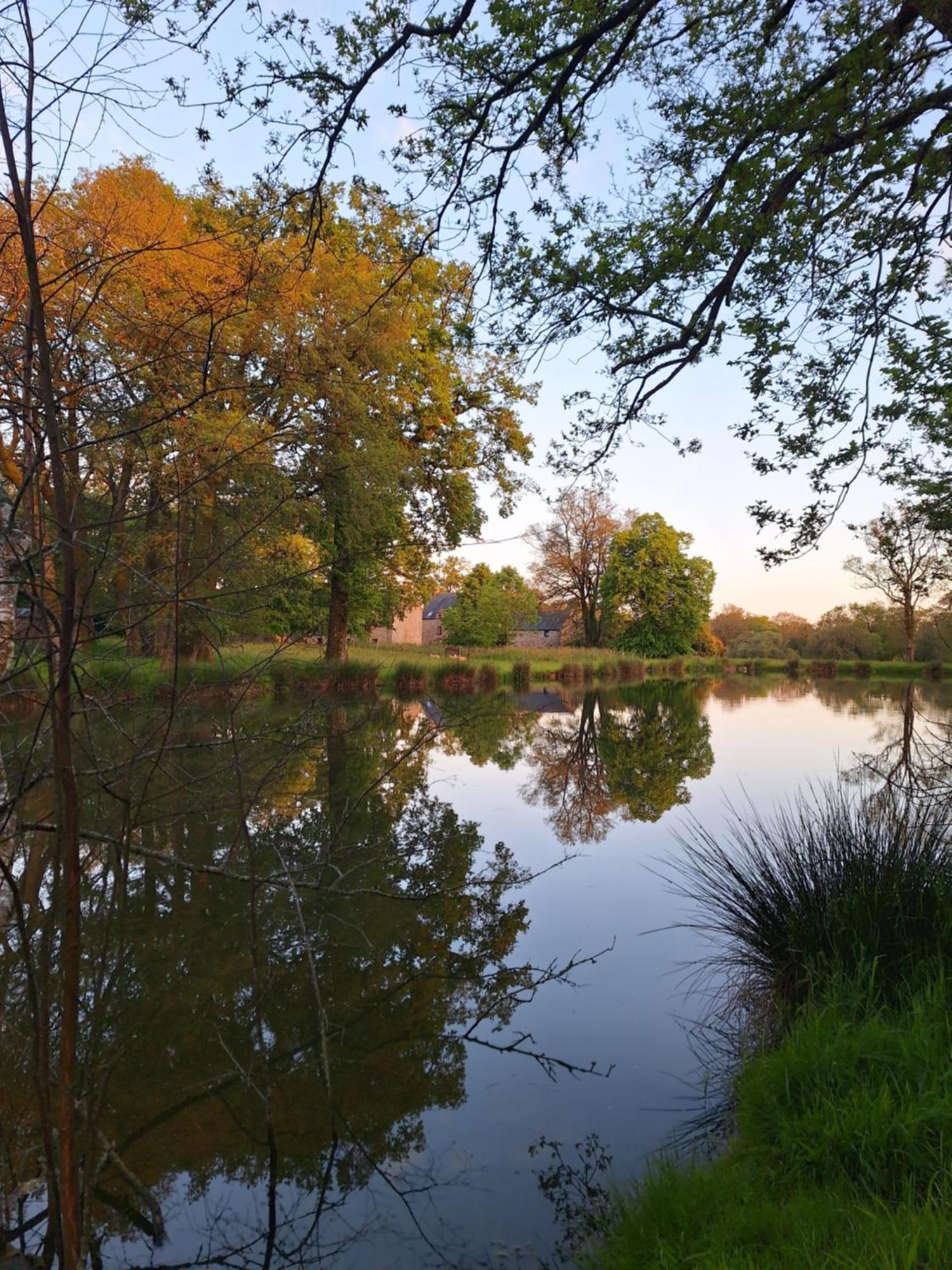 Domaine De Bobehec - Gite De Groupe, Chambres & Salle - 23 Personnes - Morbihan Proche Vannes Et Plages La Vraie-Croix المظهر الخارجي الصورة